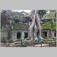 Cambodia, Ta Prohm Temple, photo Voltaire C, tripadvisor.jpg